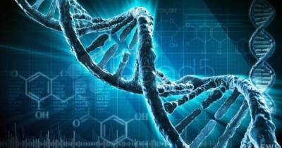 Ученые обнаружили влияние генетики на тренировки - ren.tv