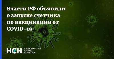 Татьяна Голикова - Власти РФ объявили о запуске счетчика по вакцинации от COVID-19 - nsn.fm - Россия