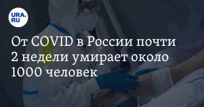 От COVID в России почти 2 недели умирает около 1000 человек - ura.news - Россия - Санкт-Петербург - Москва