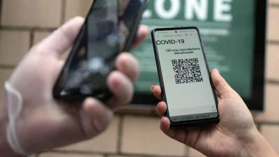 В Туве введут QR-коды для доступа в ТЦ и кафе - iz.ru - Израиль