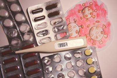 Один из музеев Тульской области временно закрыт из-за эпидемиологической обстановки - tula.mk.ru - Тульская обл.