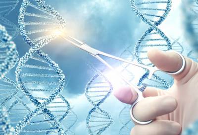 Заплатка на ДНК: генетическая революция против этических барьеров - eadaily.com