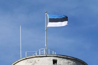 На выборах в Таллине победила партия, отстаивающая интересы русских жителей - aif.ru - Эстония - Таллин