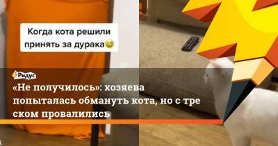 «Неполучилось»: хозяева попыталась обмануть кота, ностреском провалились - ridus.ru
