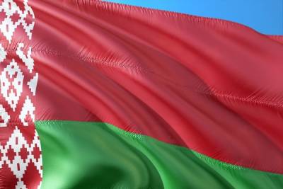 Белоруссия приостановила плановую медпомощь в поликлиниках из-за COVID-19 - mk.ru - Белоруссия