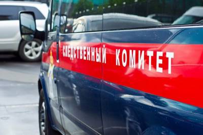 СК возбудил уголовное дело в отношении торговца поддельными сертификатами о вакцинации - vm.ru - Россия - Москва