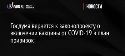 Вячеслав Володин - Госдума вернется к законопроекту о включении вакцины от COVID-19 в план прививок - ivbg.ru - Россия - Украина