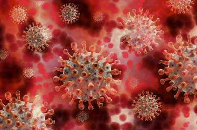 Число случаев заражения коронавирусом в мире превысило 240 миллионов - pnp.ru - Россия - Сша - Англия - Индия - Бразилия