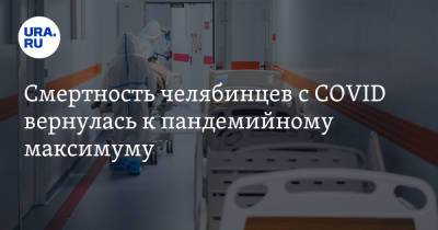 Смертность челябинцев с COVID вернулась к пандемийному максимуму - ura.news - Челябинская обл.