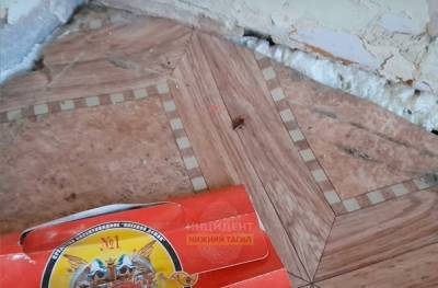 Жительница Нижнего Тагила пожаловалась на тараканов в больнице, которые бегают по детям - znak.com