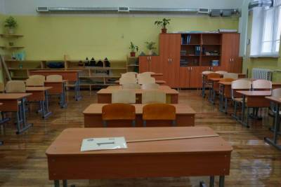 172 класса в петербургских школах переведены на дистанционное обучение - abnews.ru