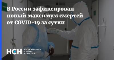 В России зафиксирован новый максимум смертей от COVID-19 за сутки - nsn.fm - Россия