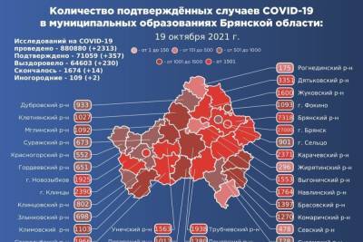 В Брянской области подтвердился коронавирус у 357 человек - mk.ru - Брянская обл.