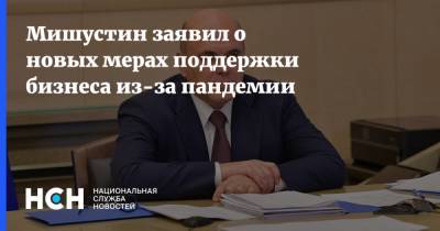 Михаил Мишустин - Мишустин заявил о новых мерах поддержки бизнеса из-за пандемии - nsn.fm - Россия