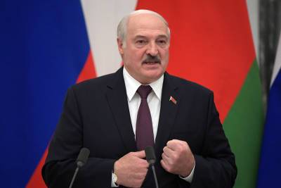 Александр Лукашенко - Лукашенко потребовал "вывернуть карманы у мерзавцев" - tvc.ru