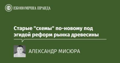 Старые "схемы" по-новому под эгидой реформ рынка древесины - epravda.com.ua - Україна