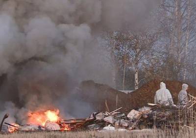 В Рыбновском районе сожгли почти 20 тонн свинины - ya62.ru - Белгородская обл.