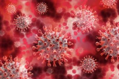 В Израиле обнаружили новый штамм коронавируса - lenta.ru - Израиль