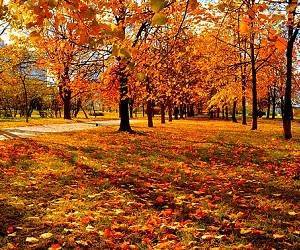 Как избежать обострения хронических заболеваний осенью - goodnews.ua