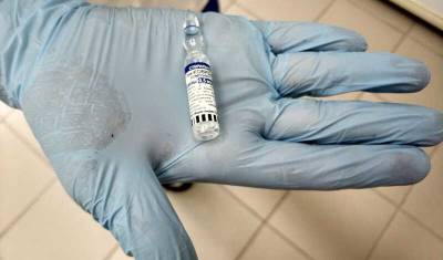 Джанни Рецца - Привитых «Спутником V» предложили дополнительно вакцинировать в Италии - newizv.ru - Италия