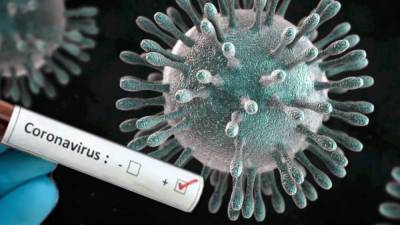 В Ленобласти выявили 240 новых зараженных коронавирусом на 2 октября - ivbg.ru - Россия - Ленобласть обл. - Украина