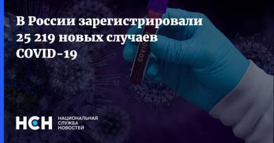 В России зарегистрировали 25 219 новых случаев COVID-19 - nsn.fm - Россия