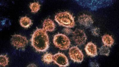 Учёные рассказали об эволюции коронавируса для лучшего распространения по воздуху - russian.rt.com - Сша - New York