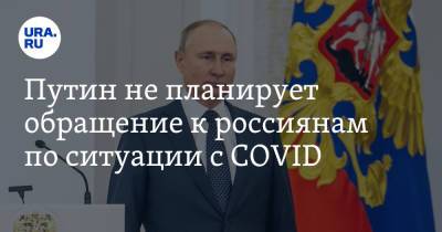 Владимир Путин - Дмитрий Песков - Путин не планирует обращение к россиянам по ситуации с COVID - ura.news