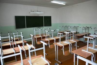 В Курганской области закрыты на карантин из-за ОРВИ 6 школ - kikonline.ru - Курганская обл.