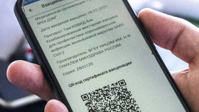 В Крыму вводят систему QR-кодов для посещения ряда мест - russian.rt.com - республика Крым