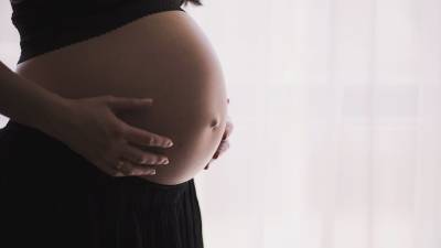В России могут запретить услуги суррогатного материнства для иностранцев - newdaynews.ru - Россия