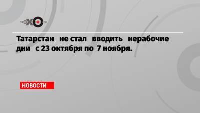 Рустам Минниханов - Татарстан не стал вводить нерабочие дни с 23 октября по 7 ноября. - echo.msk.ru - республика Татарстан