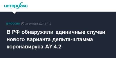 Камиль Хафизов - В РФ обнаружили единичные случаи нового варианта дельта-штамма коронавируса AY.4.2 - interfax.ru - Россия - Москва