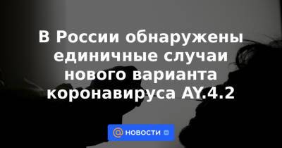 В России обнаружены единичные случаи нового варианта коронавируса AY.4.2 - news.mail.ru - Россия - Англия