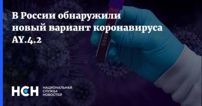 Камиль Хафизов - В России обнаружили новый вариант коронавируса AY.4.2 - nsn.fm - Россия