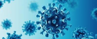 Камиль Хафизов - В России зафиксированы первые случаи нового коронавируса AY.4.2 - runews24.ru - Россия