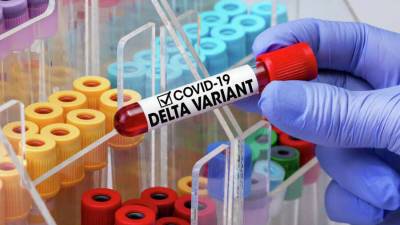 Камиль Хафизов - В России уже выявили новый вариант дельта-штамма коронавируса AY.4.2 - news-front.info - Россия