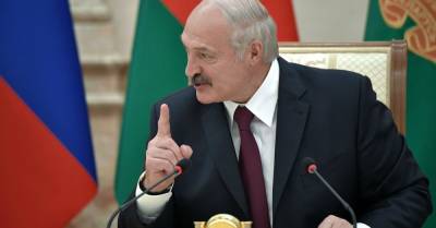 Александр Лукашенко - Европейцы испугались остаться без удобрений из Беларуси - rubaltic.ru - Белоруссия - Евросоюз - Бельгия