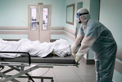В России третий день подряд обновился рекорд по смертям пациентов с COVID-19 - lenta.ru - Россия