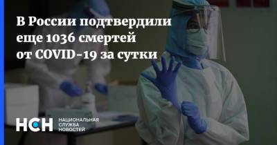 В России подтвердили еще 1036 смертей от COVID-19 за сутки - nsn.fm - Россия