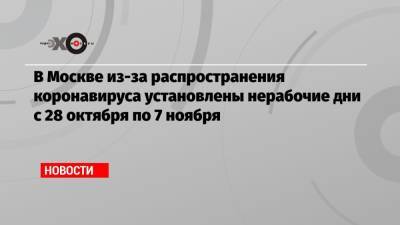 В Москве из-за распространения коронавируса установлены нерабочие дни с 28 октября по 7 ноября - echo.msk.ru - Москва - Сергей Собянин
