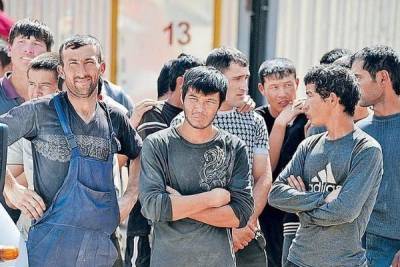 Для предприятий АПК завезут рабочих из Узбекистана - newsland.com - Россия - Узбекистан