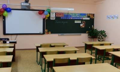Регионам рекомендовано в нерабочие дни отправить школы на каникулы - interfax-russia.ru