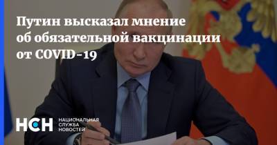 Владимир Путин - Путин высказал мнение об обязательной вакцинации от COVID-19 - nsn.fm - Россия