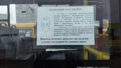 В Кузнецке у 90% пассажиров нашлись защитные маски - penzainform.ru