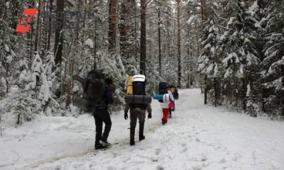 «Таганай» приостановил новогоднее бронирование домиков из-за коронавируса - fedpress.ru - Челябинская обл.