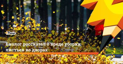 Биолог рассказал о вреде уборки листьев во дворах - ridus.ru