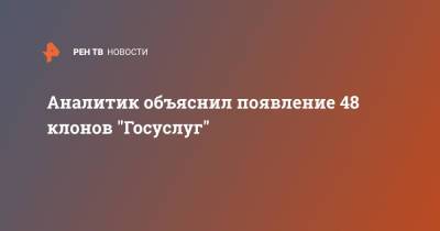 Владимир Ульянов - Аналитик объяснил появление 48 клонов "Госуслуг" - ren.tv