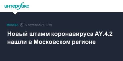 Камиль Хафизов - Новый штамм коронавируса AY.4.2 нашли в Московском регионе - interfax.ru - Санкт-Петербург - Москва - Тверь