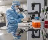 По мазку из носоглотки можно будет предсказать тяжесть Covid-19 - goodnews.ua